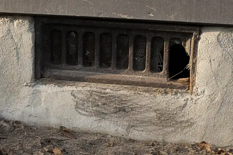 Original foundation vent on a raised foundation bungalow with a rusted and torn wire screen beside chewed wood