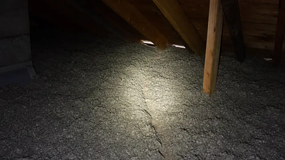 Flashlight beam revealing a rodent runway through attic insulation during a rodent inspection